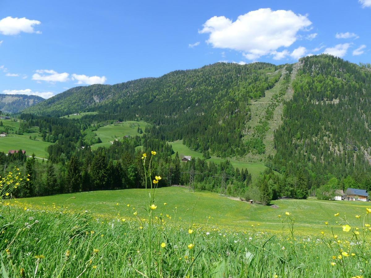 Apartamento Alpenhaus Dachstein.Zauber Abtenau Exterior foto