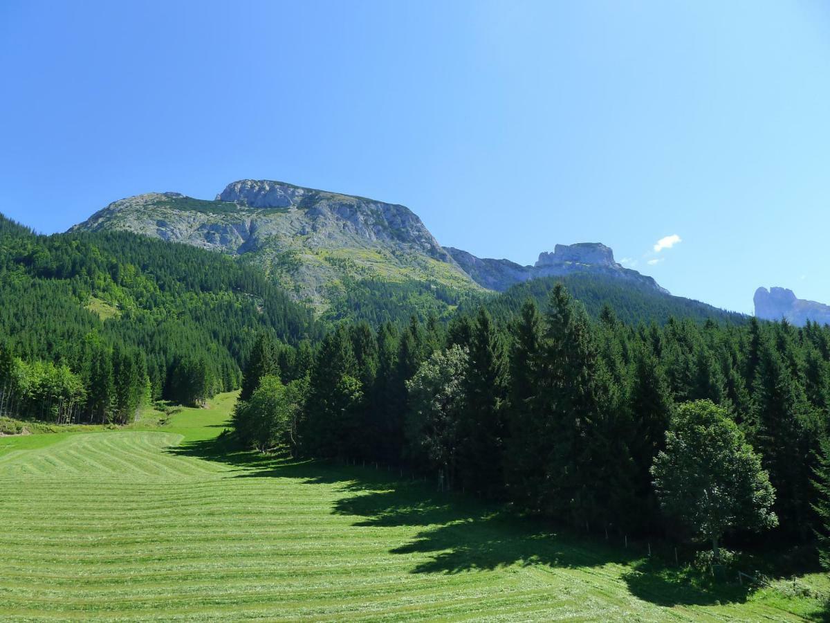 Apartamento Alpenhaus Dachstein.Zauber Abtenau Exterior foto