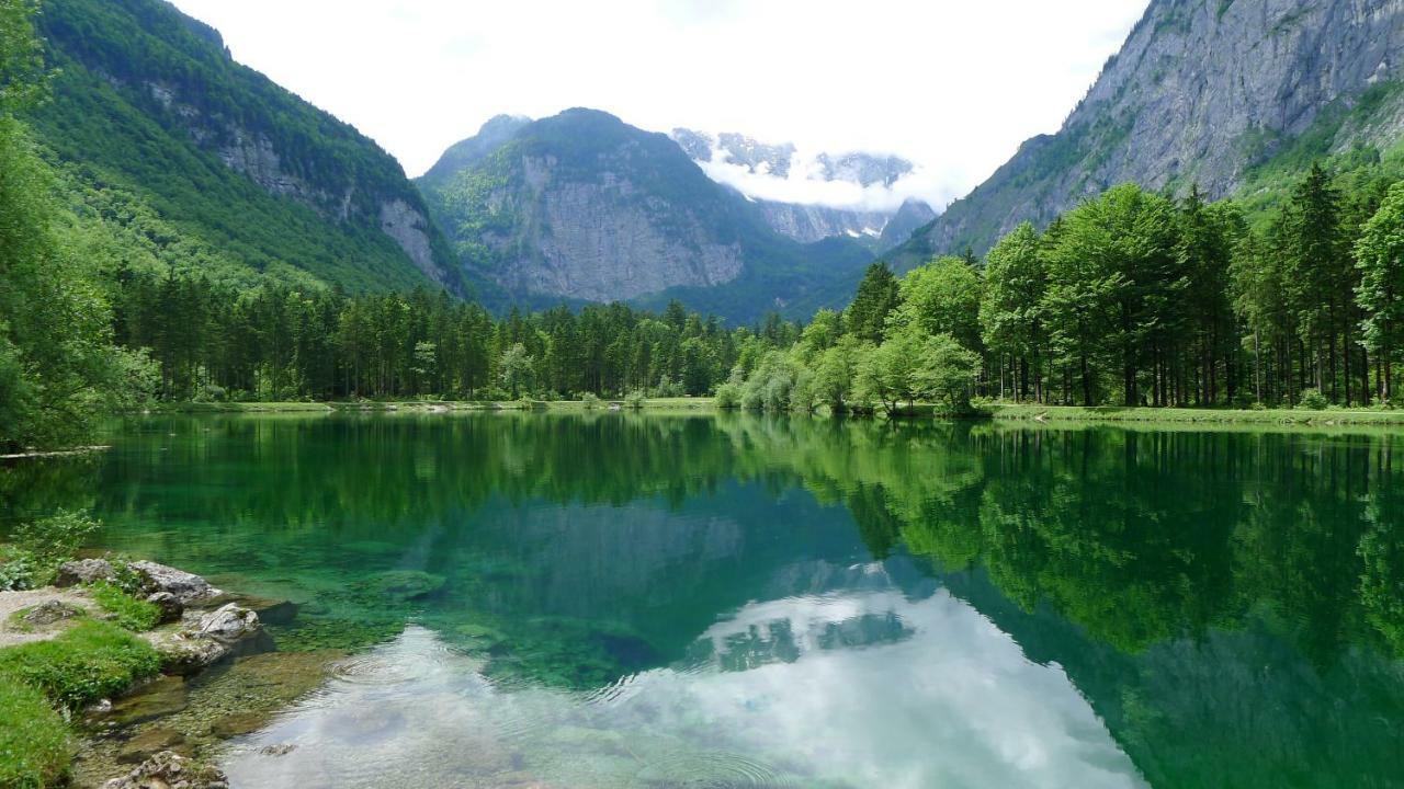 Apartamento Alpenhaus Dachstein.Zauber Abtenau Exterior foto