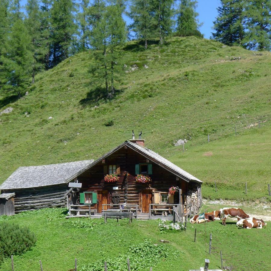 Apartamento Alpenhaus Dachstein.Zauber Abtenau Exterior foto