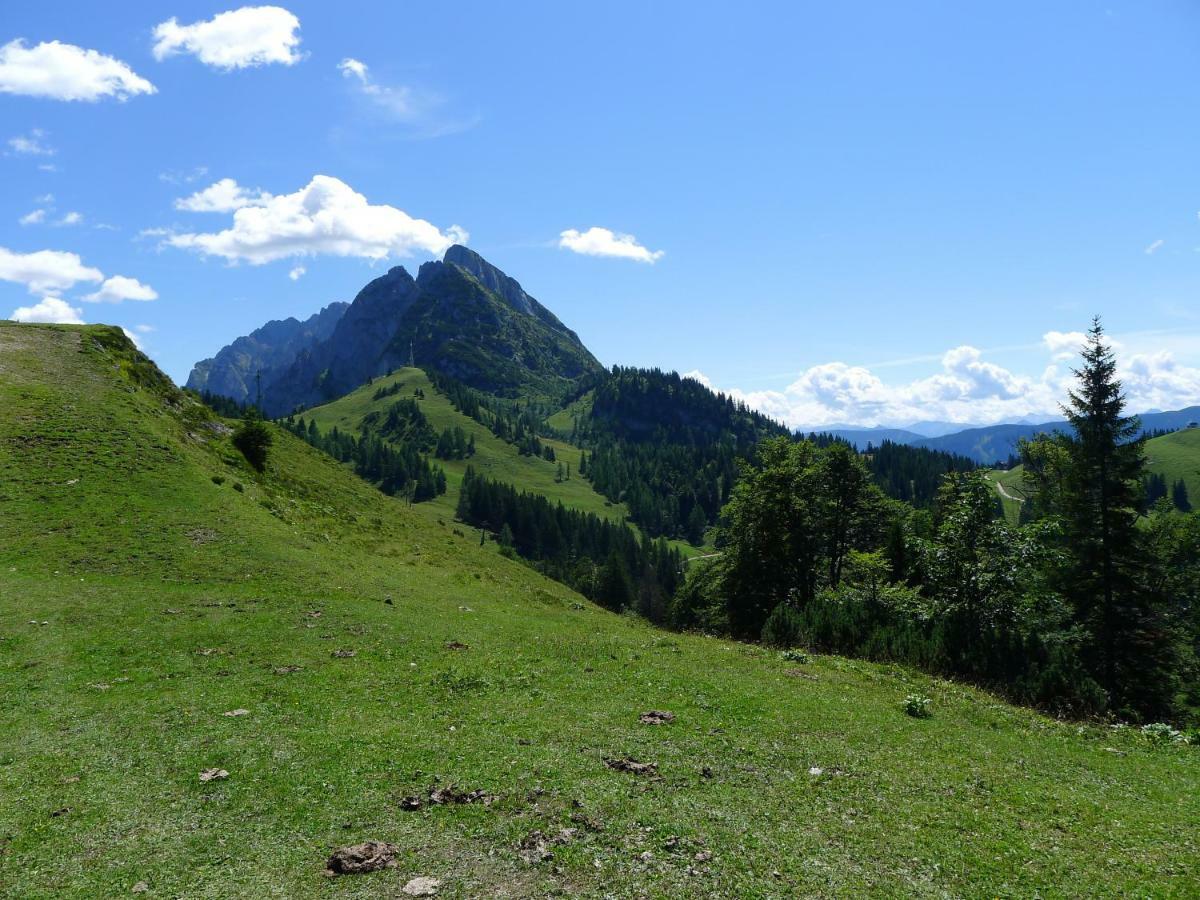 Apartamento Alpenhaus Dachstein.Zauber Abtenau Exterior foto