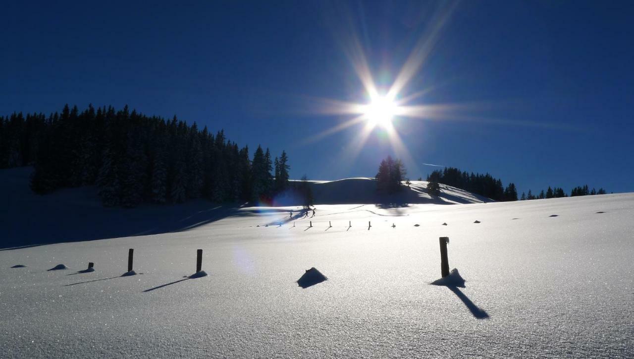 Apartamento Alpenhaus Dachstein.Zauber Abtenau Exterior foto